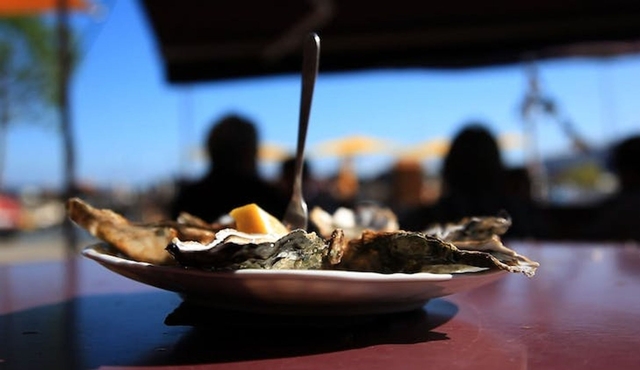 Arcachon Bay Full Day Tour