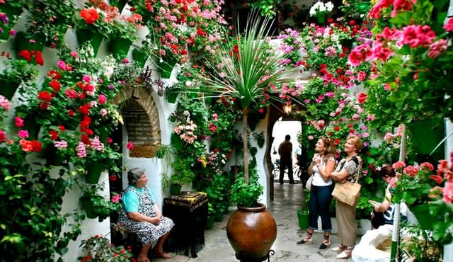 Patios de Córdoba: Guided Tour