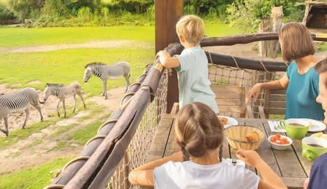 Leipzig Zoo + Day travel card 