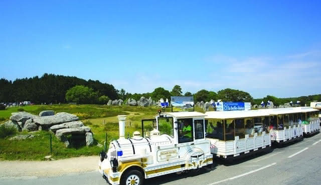 Guided tour of the Megalithic Site of Carnac