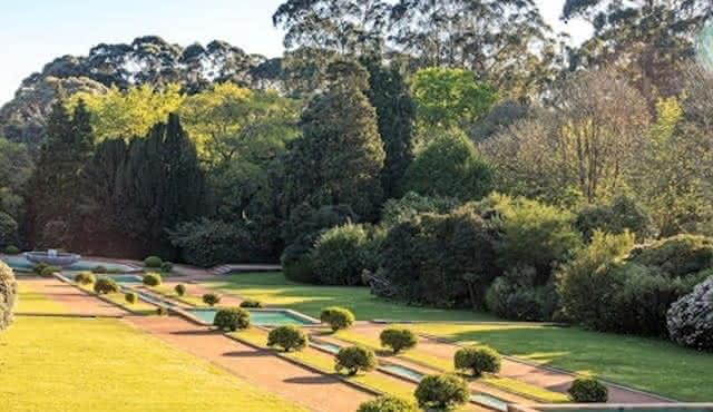 Serralves Park: Entry Ticket and Treetop Walk