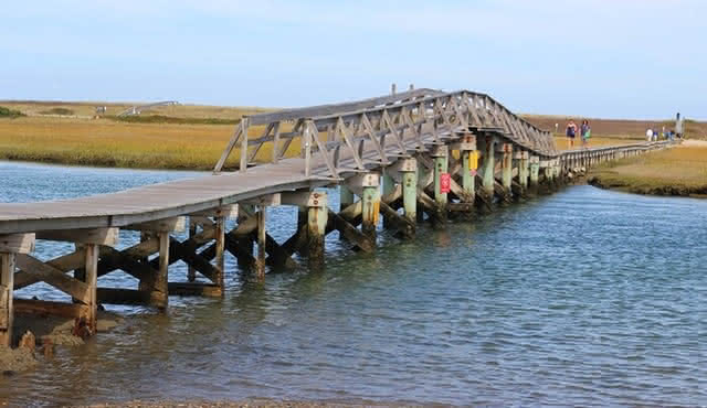 Day Tour of Plymouth and Cape Cod from Boston