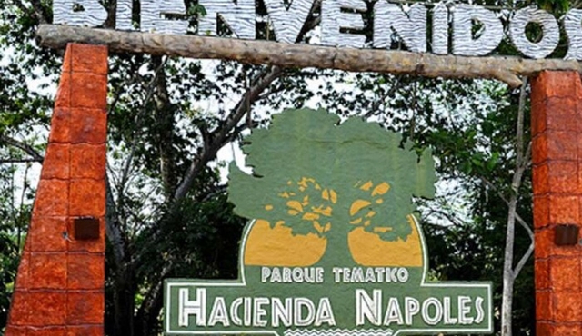 gira napoles