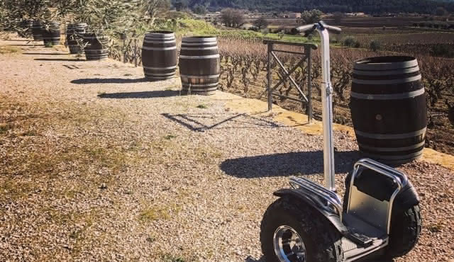 Visita dei vigneti a Gyropode, visita di Cave & Tasting Wines of Bandol