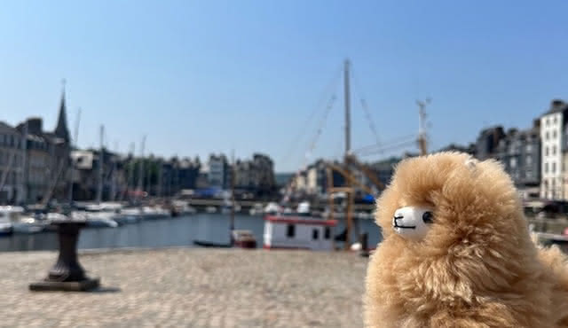 2‐Days Customisable Private Guided Tour in Normandy & Brittany