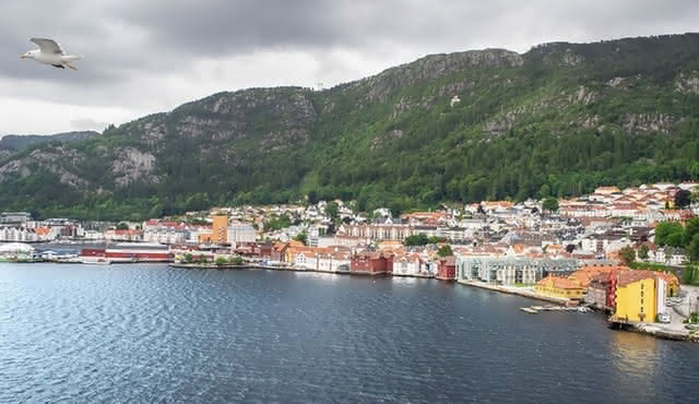 Private Transfer From Oslo To Bergen With a 2 Hour Stop