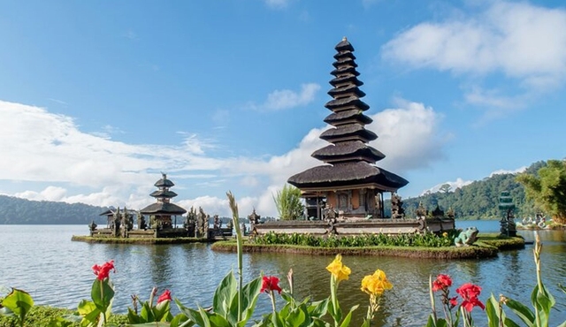 Esplora Bali Nord (Tempio, Cascata, Terrazza del riso)