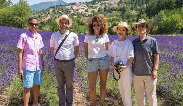 Provence Lavender Fields Tour from Aix‐en‐Provence