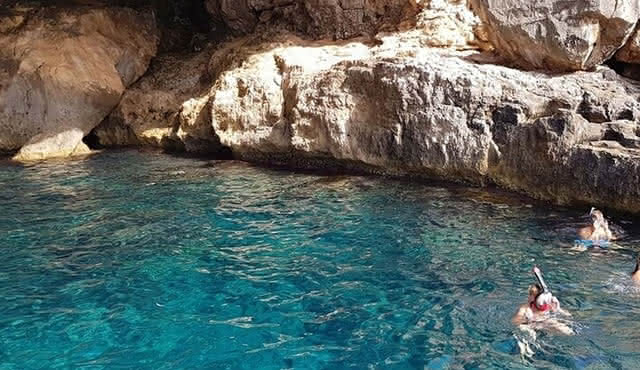 Delfinbeobachtung auf Mallorca