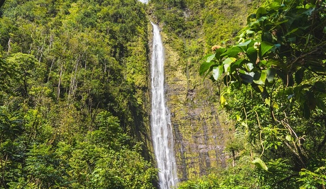 Ultimate Hana Full‐Day Adventure Tour