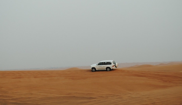 Safari nel deserto della Giudea da Tel Aviv