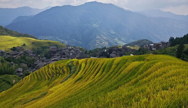 Longji Riso Terrazze Dazhai Riso Terrazze via funivia Tour