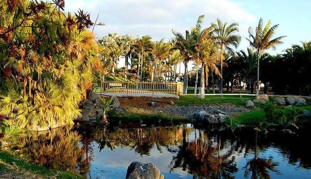 Palmetum de Santa Cruz de Tenerife: Entrada