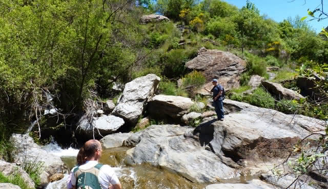 Sierra Nevada: Tour guiado desde Granada