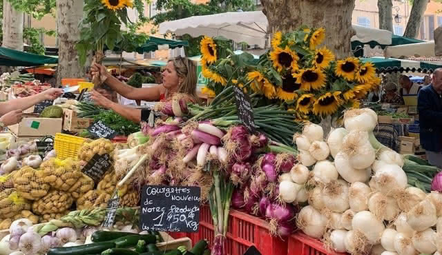 Aix En Provence Culture & Gastronomy Tasting Tour