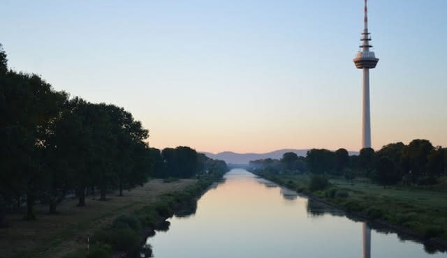 1‐hour tour of Mannheim highlights with a local