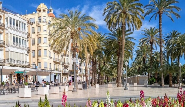 Explorez Alicante en 60 minutes avec un local