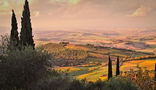 Montalcino and Pienza Tour from Rome