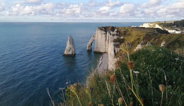 Le Havre Private Tour — Normandy's Regional Highlights