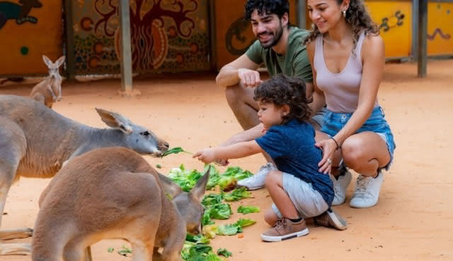 Allgemeine Eintrittskarte für den San Antonio Zoo