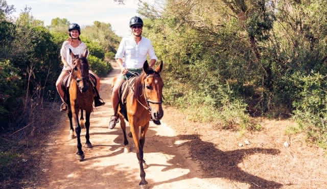 Horseback Riding from San Gimignano