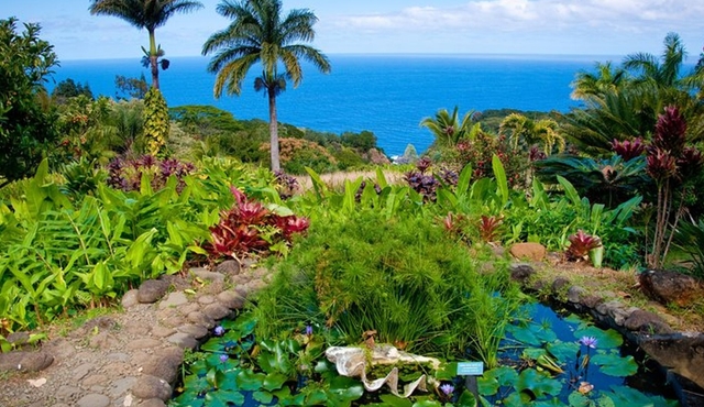 Maui Road to Hana Audio Driving Tour