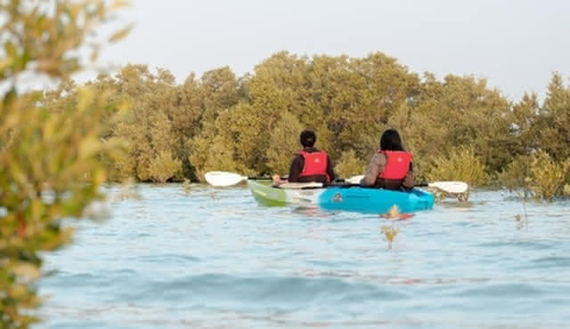 Guided Kayak Tour in the Mangroves