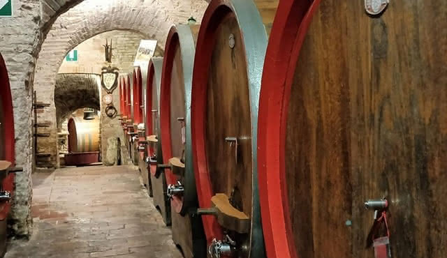 Small Group Tuscany Tour Montepulciano, Montalcino and Cortona
