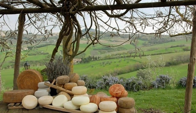 Montepulciano tour with wine and cheese tasting