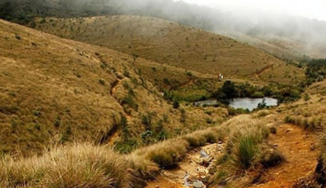 Horton Plains‐World's End Tour Da Nuwaraeliya