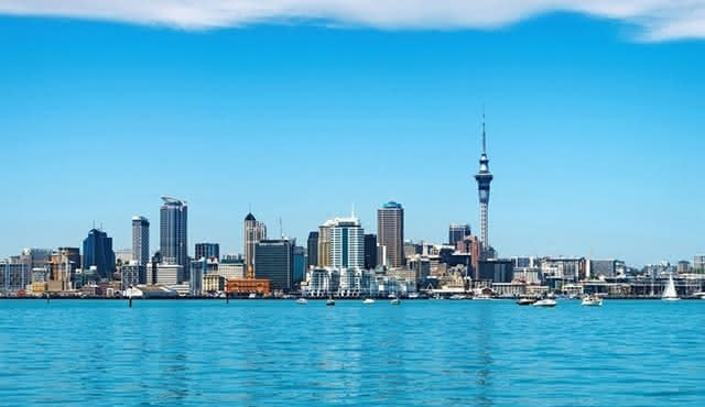 Auckland City Volcano Tour