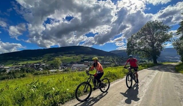 Mountainbike — Voss Forest