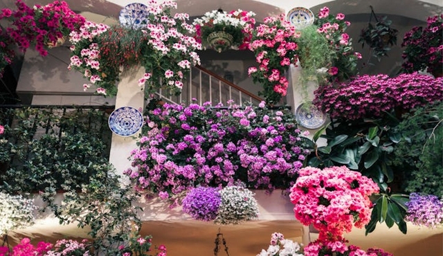 Córdoba group walking tour