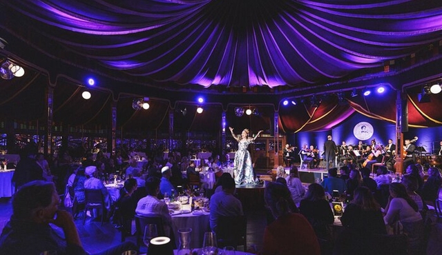 Strauss Dinner Show
