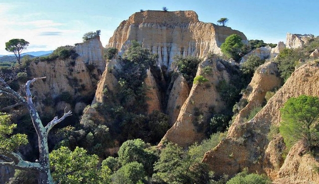 Les Orgues Sauvages : Paysage Grandiose, Plantes, Géologie, Chants d'oiseaux