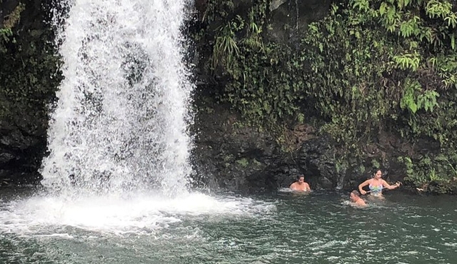 Ganztägige auf Maui: Straße nach Hana
