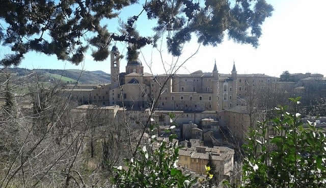 Visita di Palazzo Ducale di Urbino
