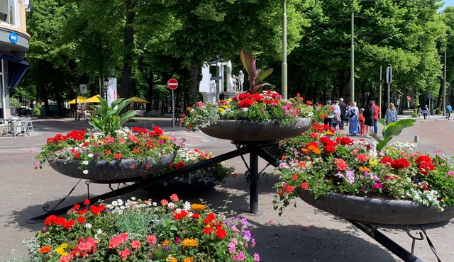 The Hague private tour