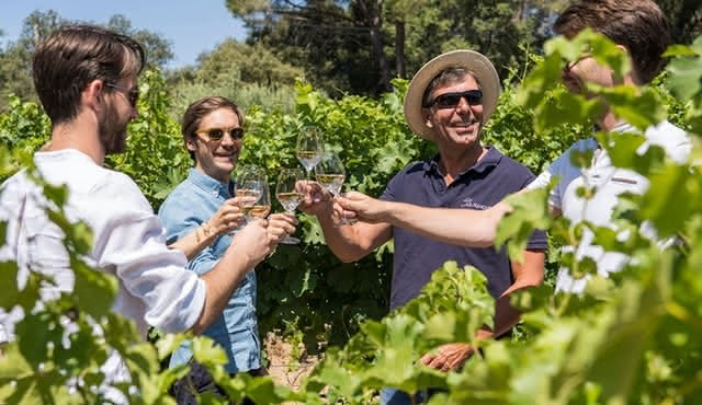 Cotes de Provence Wine Tour from Aix‐en‐Provence