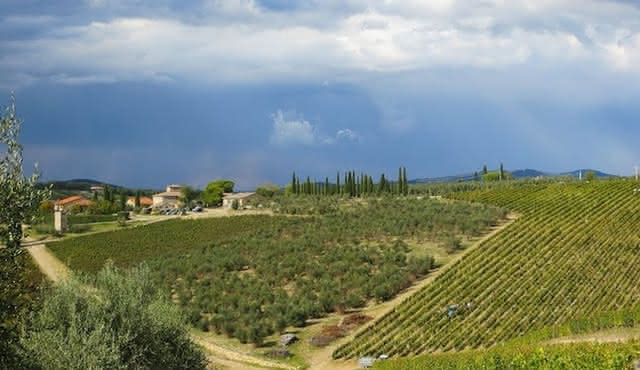Siena, San Gimignano and Monteriggioni trip from Florence