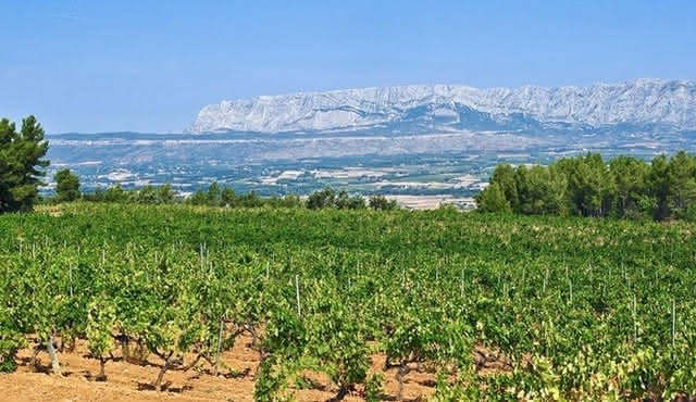 Aix‐en‐Provence Half‐Day Wine Tour Including Tasting, Transfer