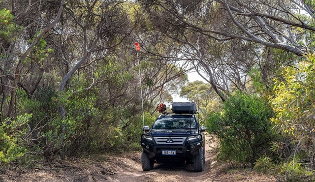 Port Lincoln Full‐day Exploration Tour
