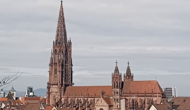 Freiburg History Group Walking Tour