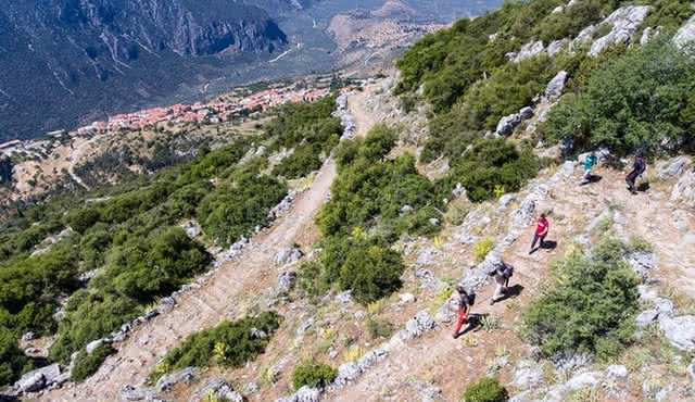 Delphi: Ancient Footpath Delphi Hiking