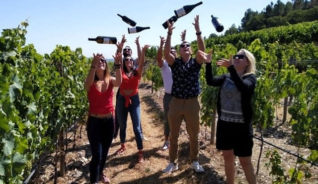 Douro Valley Wine Tasting Tour, Lunch, River Cruise Option