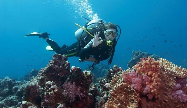 Immersioni subacquee da Antalya