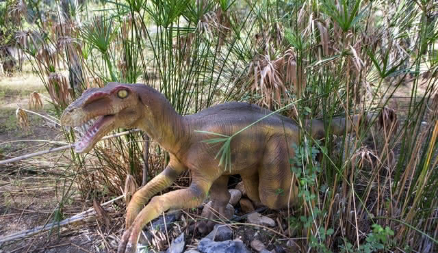 Dinopark Antalya: Biglietto d'ingresso