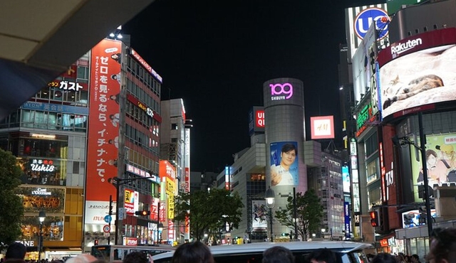 Tokyo YOLO Tour