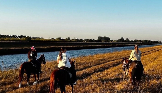 Équitation à Miami