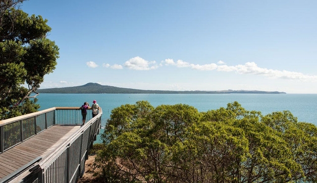 Discover Auckland City Tour